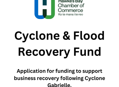 Cyclone and flood recovery for businesses