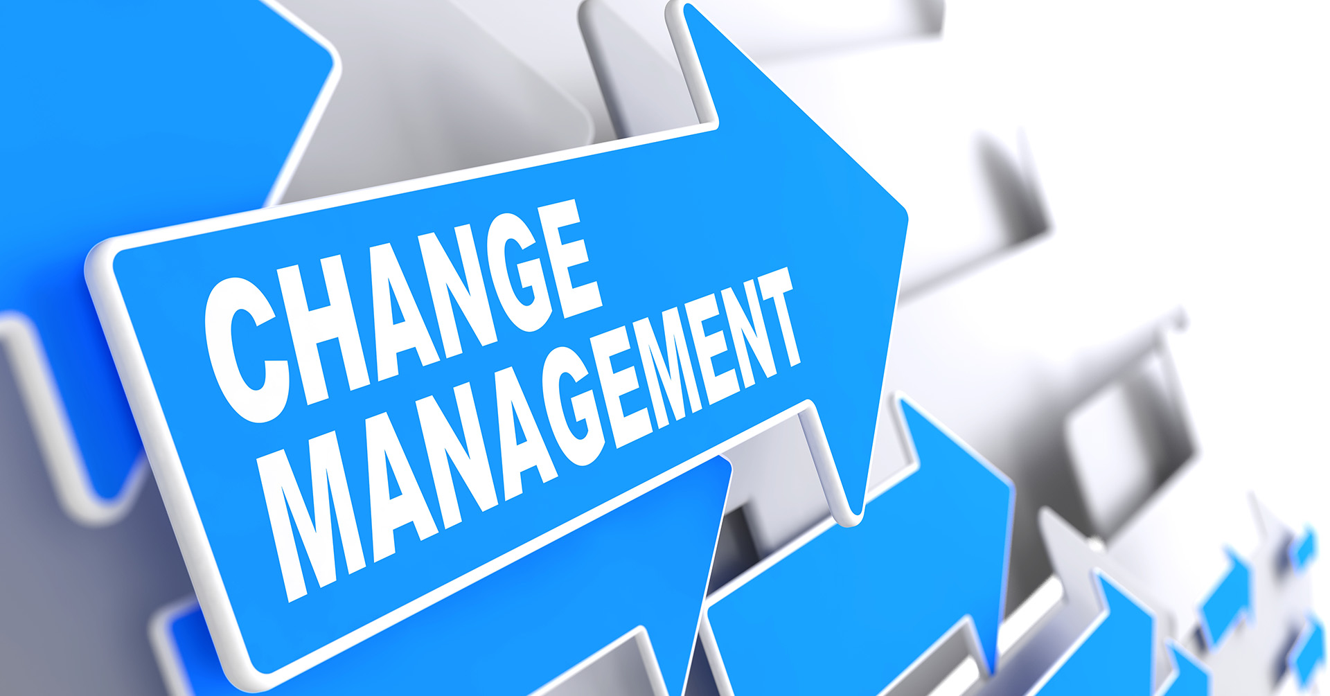 Leading Successful Change